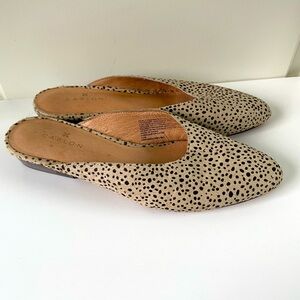 Caslon spotted calf hair mule. Size 6.5.